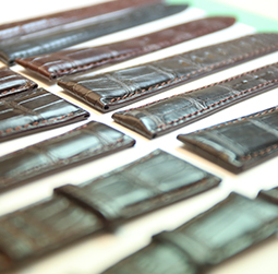 图2-孟加拉虎-用户-成都欧米茄维修服务中心